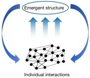 emergence in complex systems